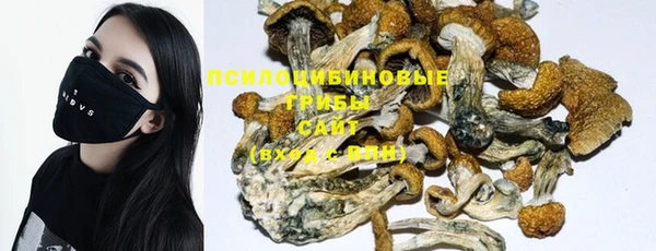 амф Алексеевка