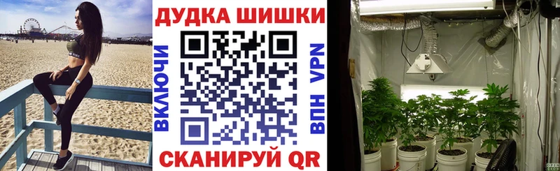 Конопля AK-47 Когалым
